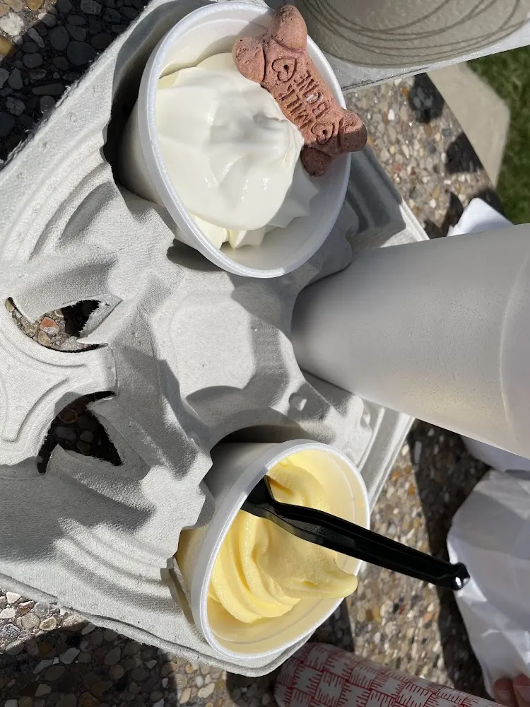 Pup Cup with the Dog Biscuit